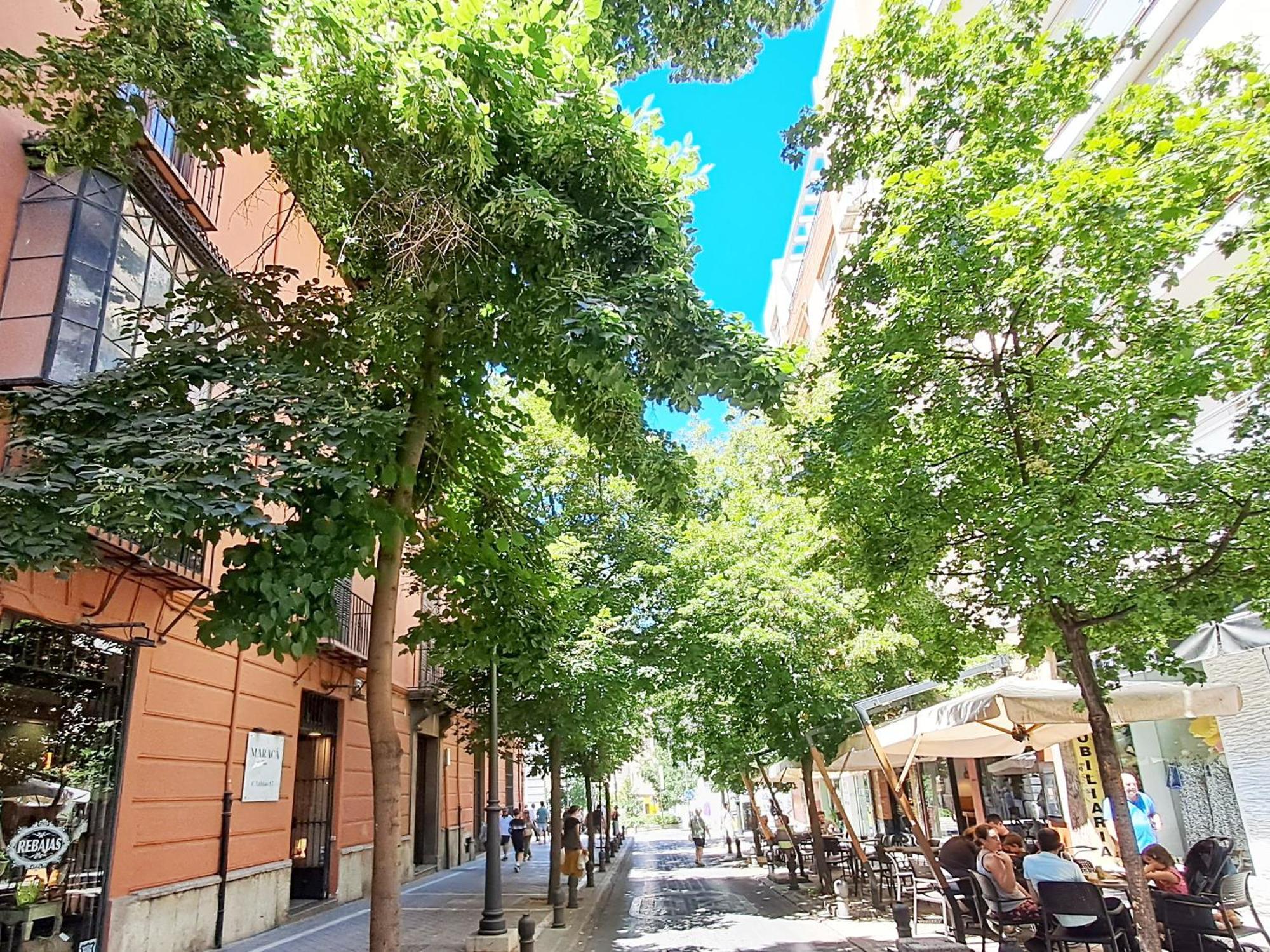 Apartasuite Centro Historico Atico Tranquilo Y Luminoso En El Corazon De 그라나다 외부 사진
