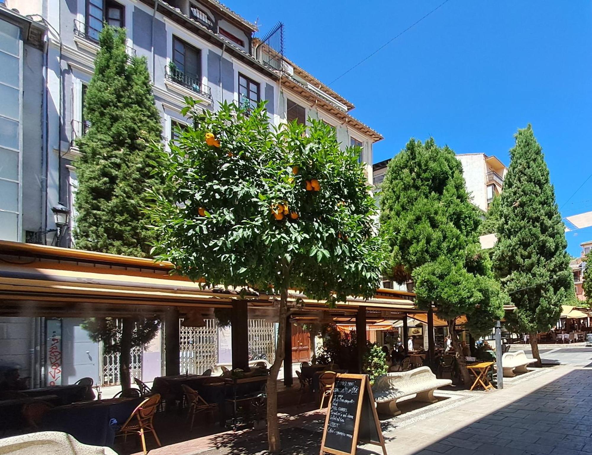 Apartasuite Centro Historico Atico Tranquilo Y Luminoso En El Corazon De 그라나다 외부 사진